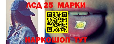 крисы Моздок