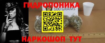 крисы Моздок