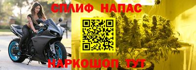 крисы Моздок