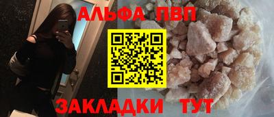 крисы Моздок